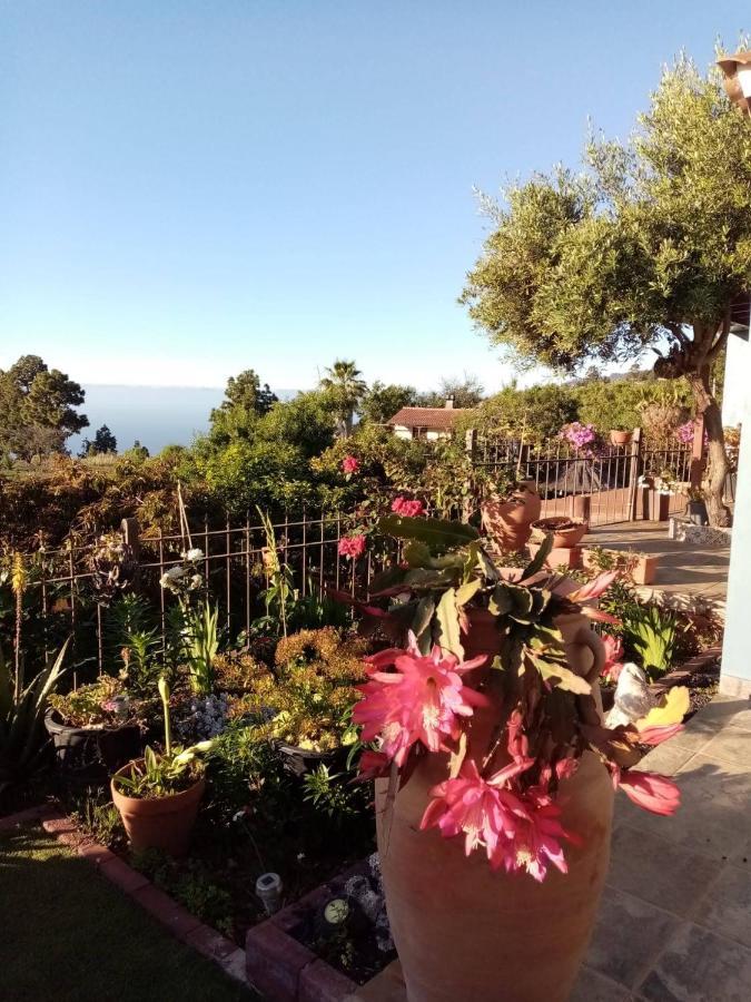 Casa Rosales With Pool & Wifi Villa Puntagorda Buitenkant foto