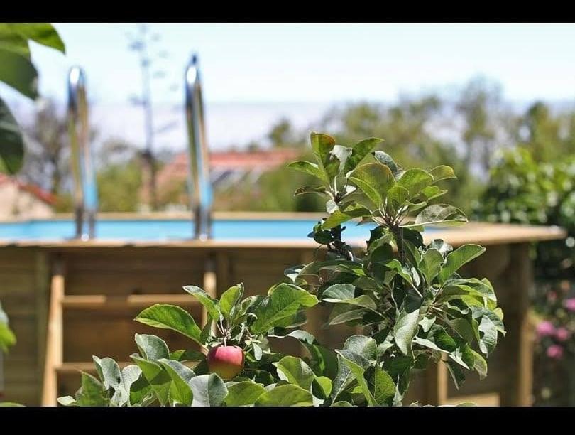 Casa Rosales With Pool & Wifi Villa Puntagorda Buitenkant foto